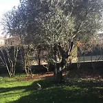 Bed & Breakfast Matildis Modena