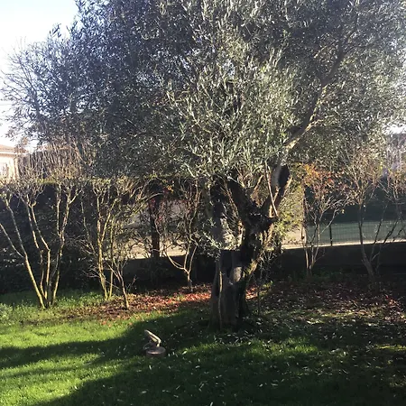 Panzió Matildis Modena