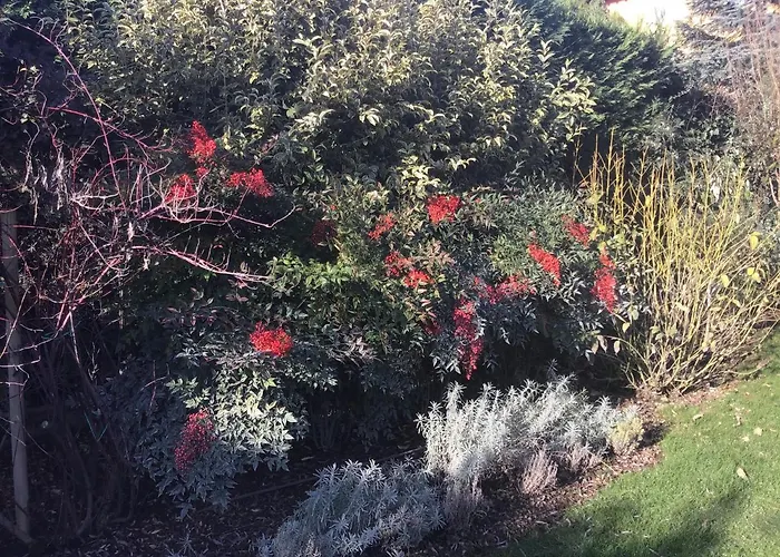 Matildis فندق مبيت وإفطار