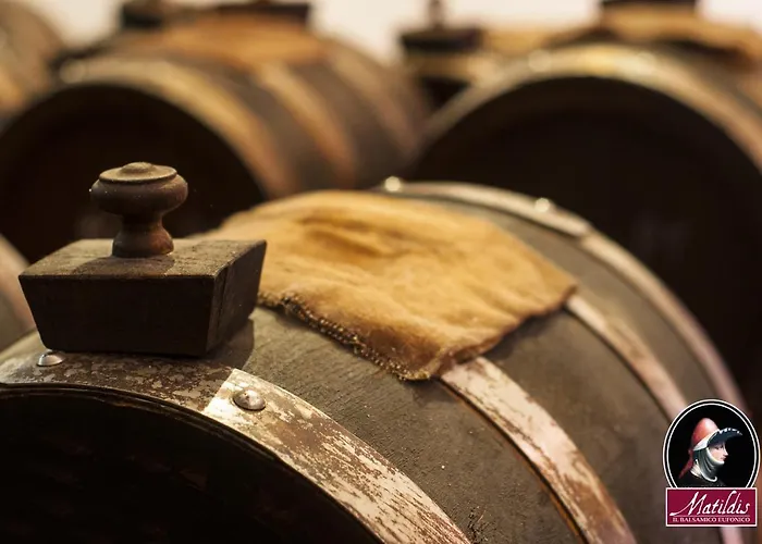 Matildis مودينا